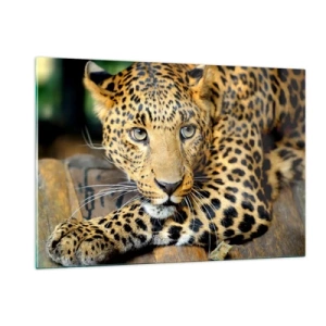 Quadro su vetro - Leopardo appoggiato su una superficie di legno - 120x80cm - Non temere, avvicinati - Decorazione murale moderna per soggiorno e camera da letto ARTTOR