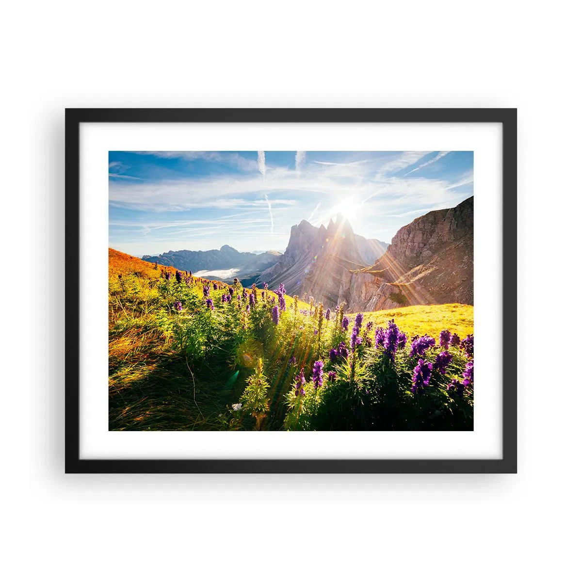 Poster in cornice nera - La vita segreta delle erbe - 50x40 cm