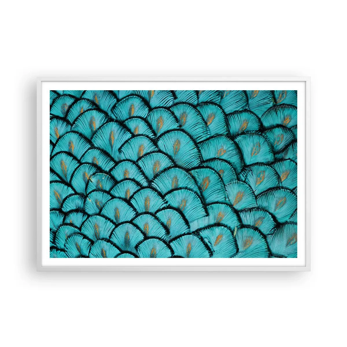 Poster in cornice bianca - La grande festa delle piume - 100x70 cm