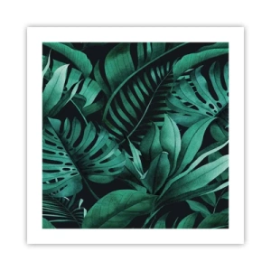 Poster - Dal profondo del verde tropicale - 50x50 cm