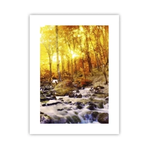 Poster - Pietre incorniciate in oro e platino - 30x40 cm