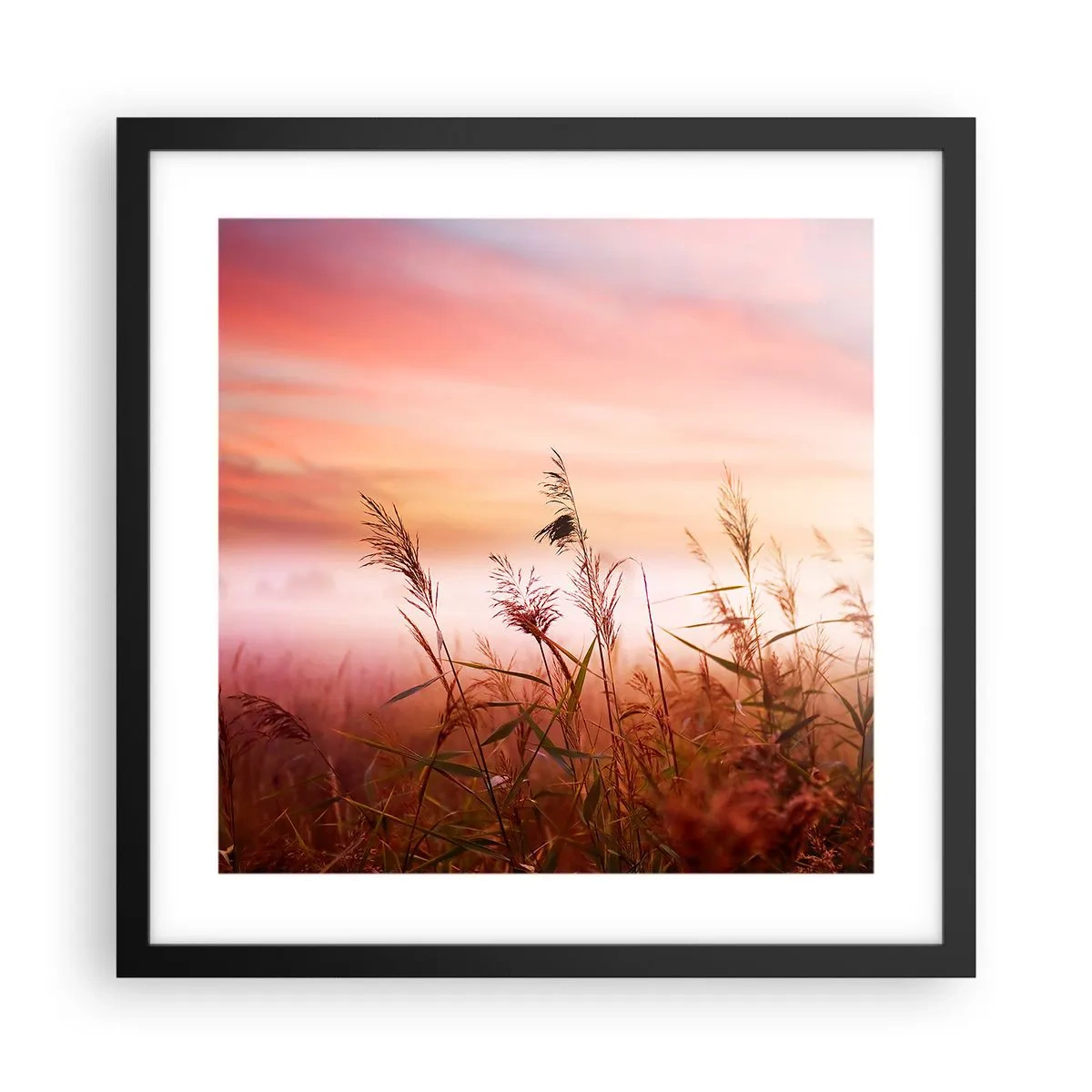 Poster in cornice nera - Aquiloni, denti di leone, vento - 40x40 cm