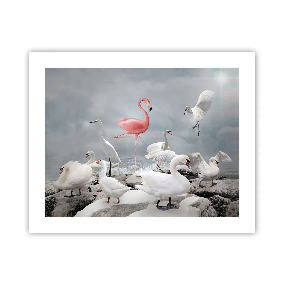 Poster - Come sono arrivato qui? - 50x40 cm