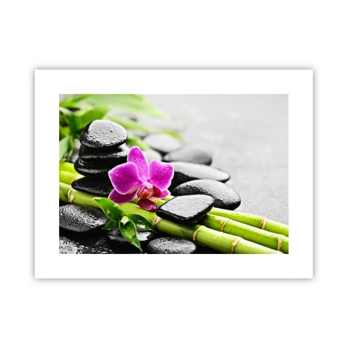 Poster - Un tranquillo equilibrio - 40x30 cm