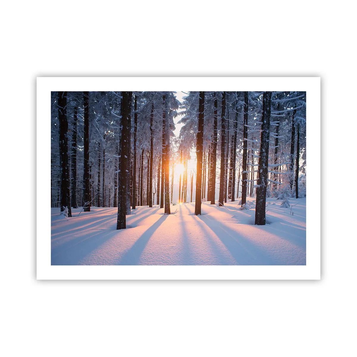 Poster - Decisamente nero su bianco - 70x50 cm
