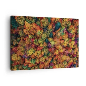 Quadro su tela - Stampe su Tela - Chiome di alberi colorati nella tavolozza autunnale - 70x50cm - Il bouquet degli alberi d'autunno - Decorazione murale moderna per soggiorno e camera da letto ARTTOR