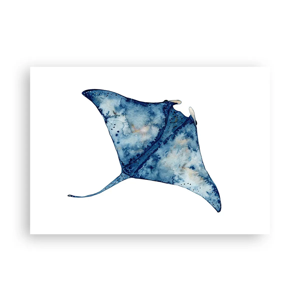 Poster - Razza blu in stile acquerello su sfondo bianco - 100x70cm - Vita nel blu - Decorazione murale moderna per soggiorno e camera da letto ARTTOR