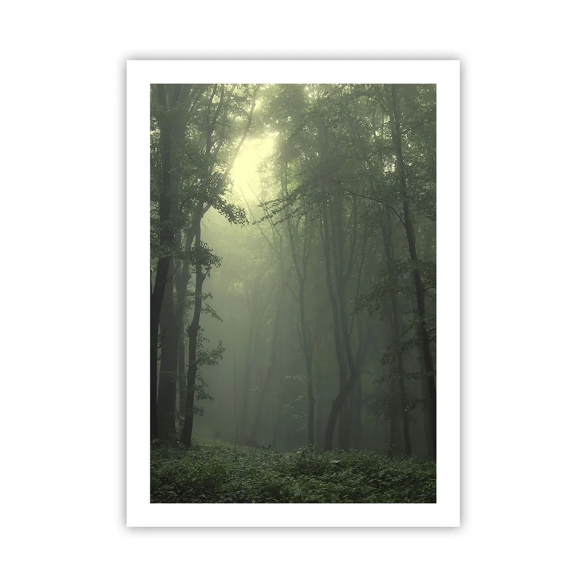 Poster - Alberi nebbiosi in una foresta verde - 50x70cm - Prima che si svegli - Decorazione murale moderna per soggiorno e camera da letto ARTTOR