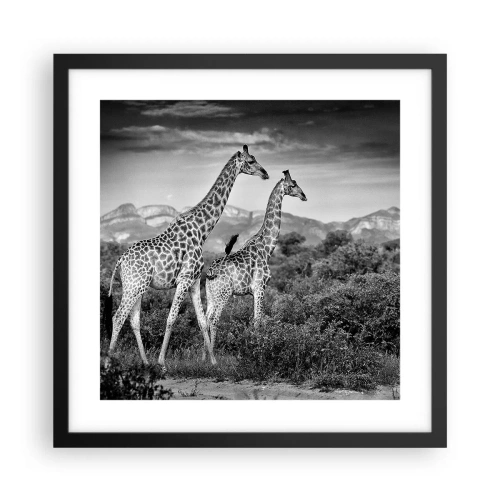 Poster in cornice nera - Alta classe in Africa - 40x40 cm