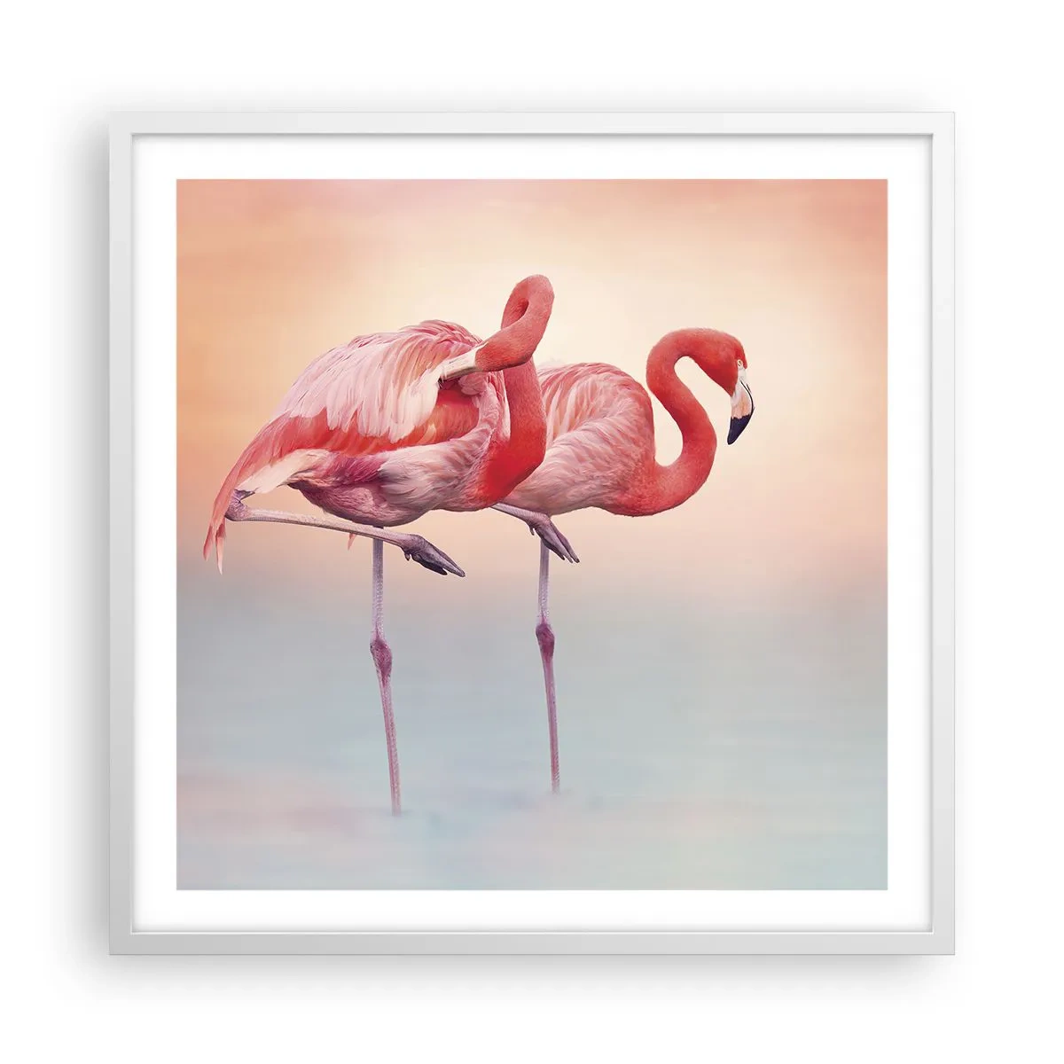 Poster in cornice bianca - Nel colore del sole al tramonto - 60x60 cm