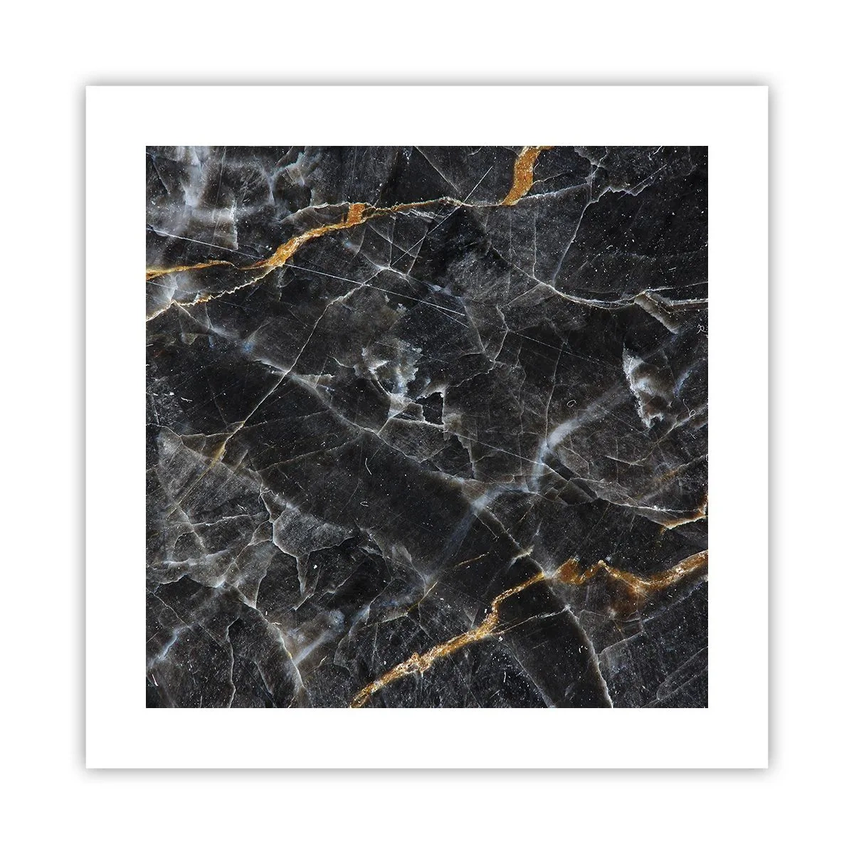 Poster - La vita interiore delle pietre - 40x40 cm