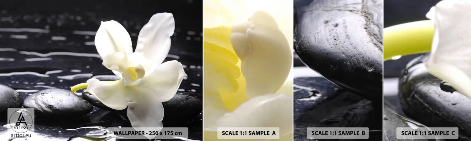 Campione Di Fotomurale Standard Eco - Studio in bianco e nero - Fiori, Pietre, Orchidea - 100x30 cm