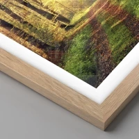 Rovere chiaro