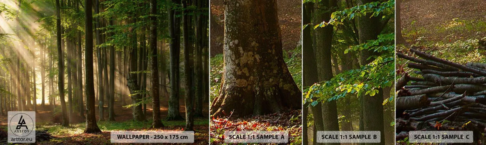 Campione di Fotomurale Premium Sand - Raggiante in un mattino di primavera - Paesaggio, foresta, Parco - 100x30 cm