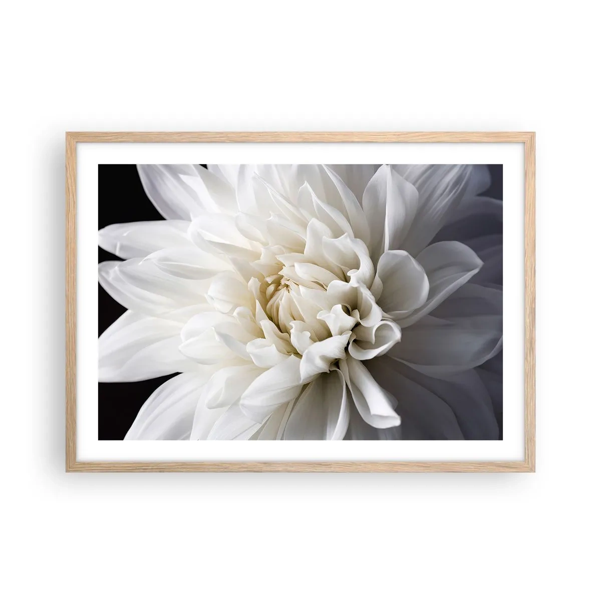 Poster in cornice rovere chiaro - Il mattino della sposa - 70x50 cm