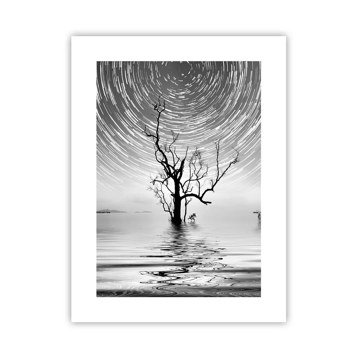 Poster - Sinfonia della natura - 30x40 cm