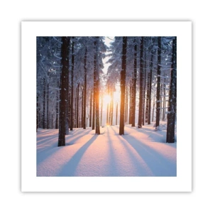 Poster - Decisamente nero su bianco - 40x40 cm