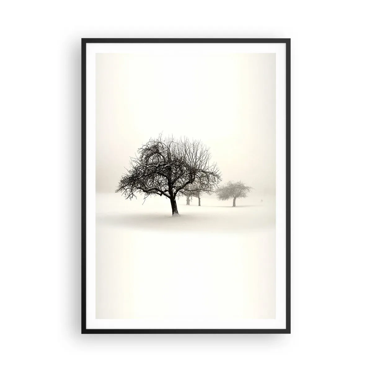 Poster in cornice nera - Sogno invernale - 70x100 cm