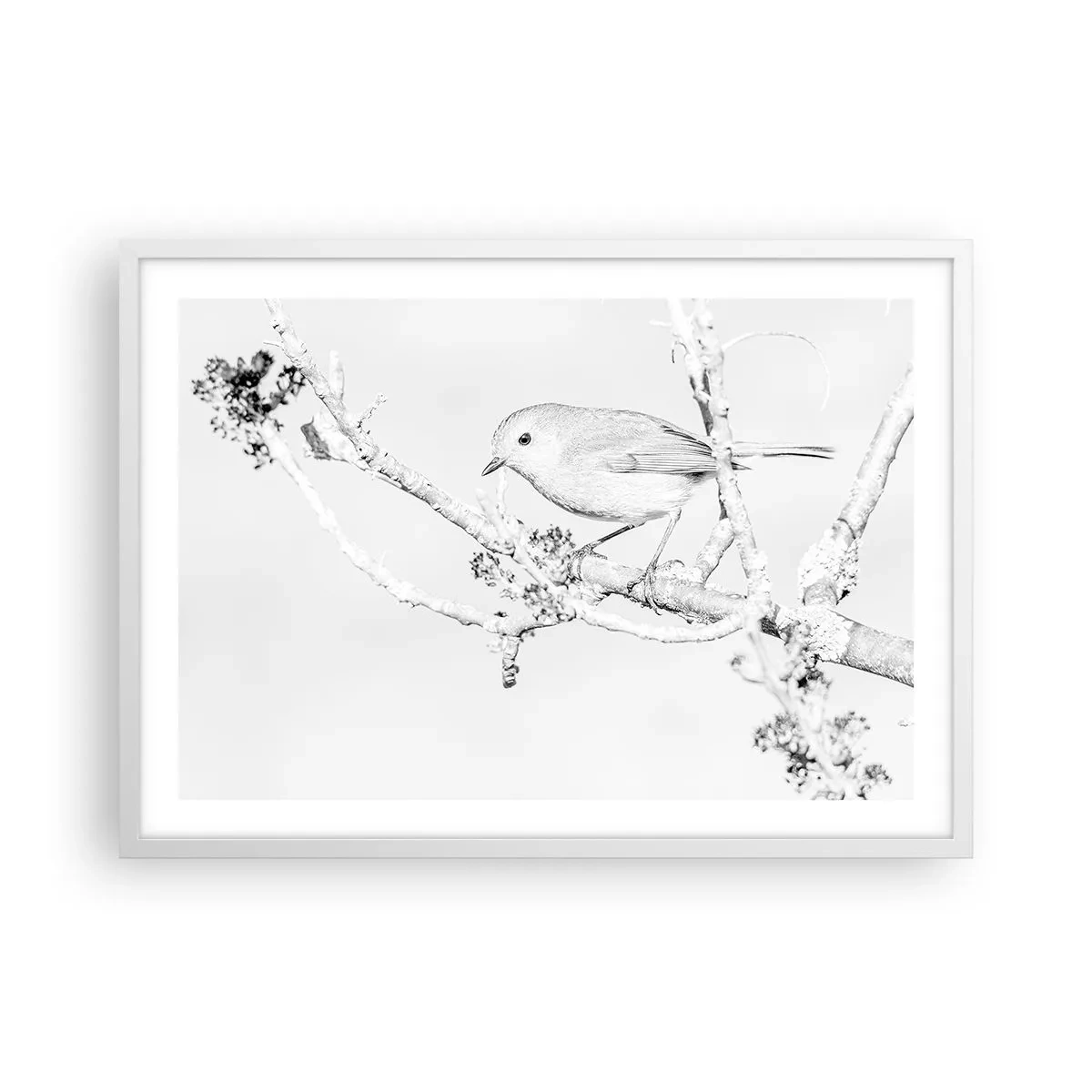 Poster in cornice bianca - Mattino invernale - 70x50 cm