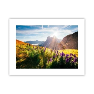 Poster - La vita segreta delle erbe - 40x30 cm