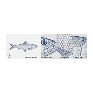 Campione di Fotomurale Premium Canvas - Un saluto dai mari del nord - Pescare, Animale marino, Stile balneare - 100x30 cm