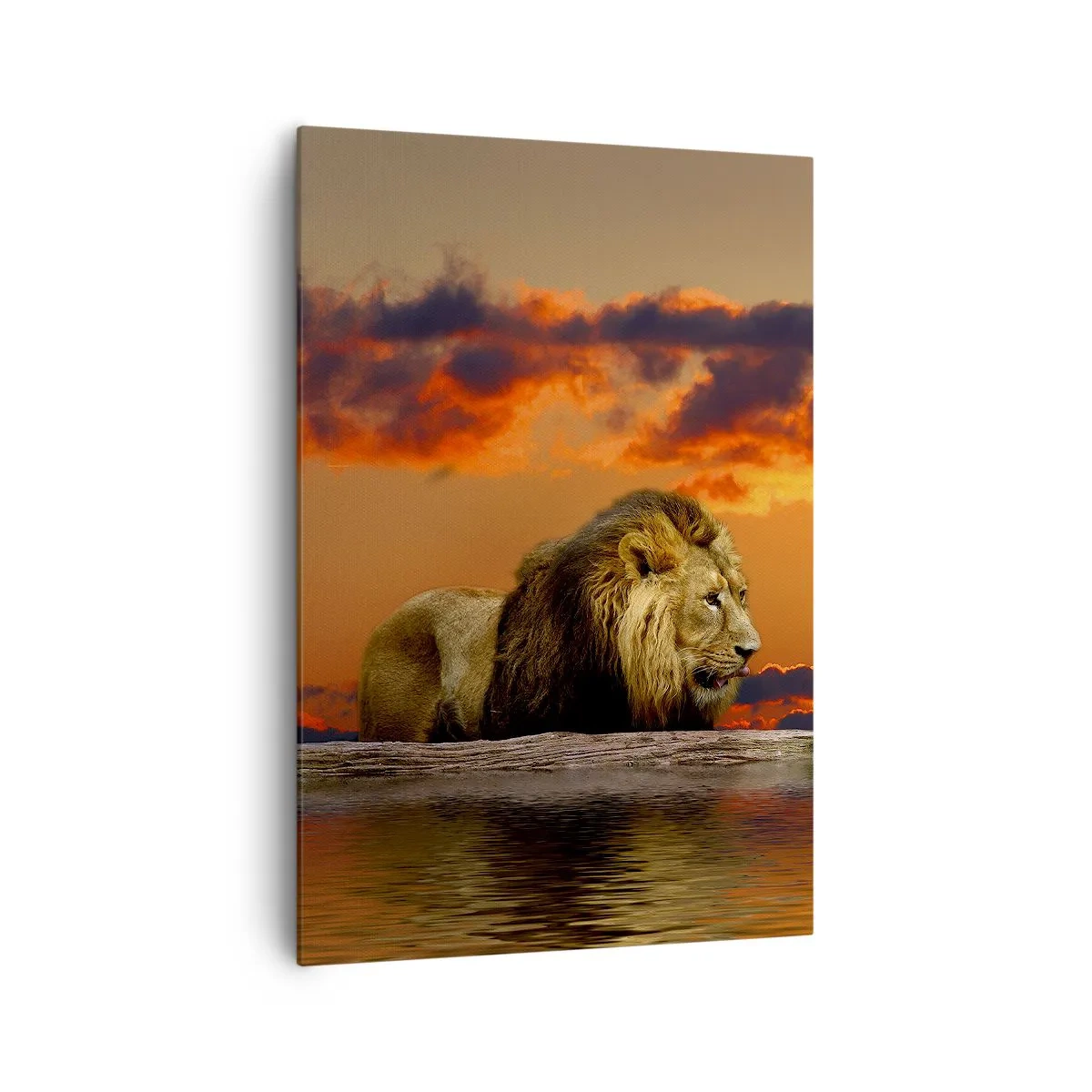 Quadro su tela - Stampe su Tela - Un leone riposa in riva all'acqua al tramonto, con un cielo spettacolare. - 70x100cm - Il re della natura - Decorazione murale moderna per soggiorno e camera da letto ARTTOR