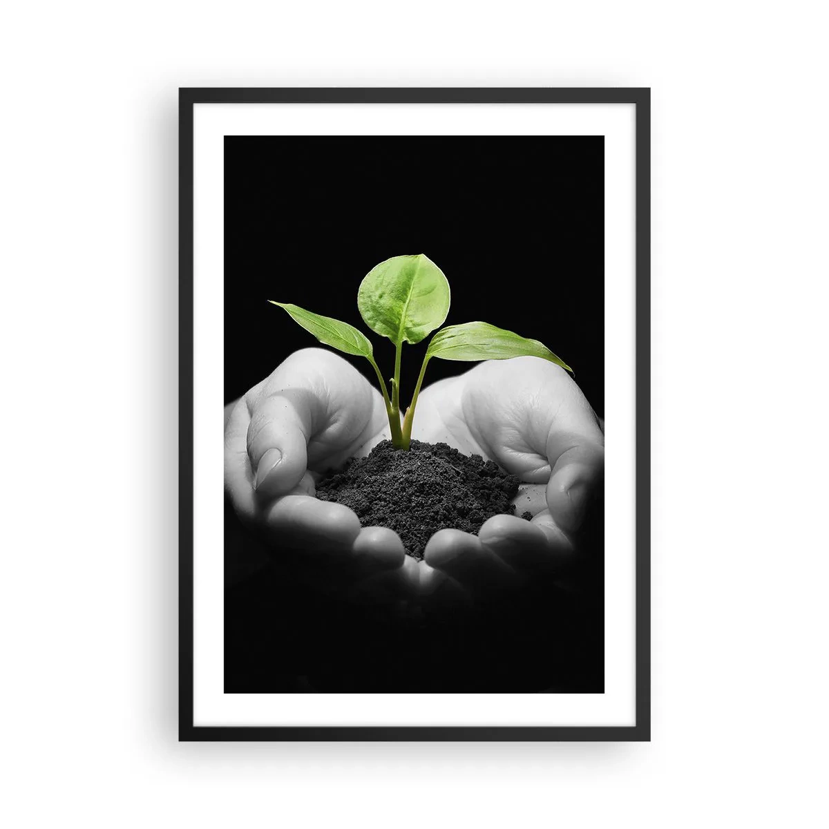 Poster in cornice nera - Una pianta tra le mani che simboleggia la vita e la natura - 50x70cm - Amo la natura, la proteggo - Decorazione murale moderna per soggiorno e camera da letto ARTTOR