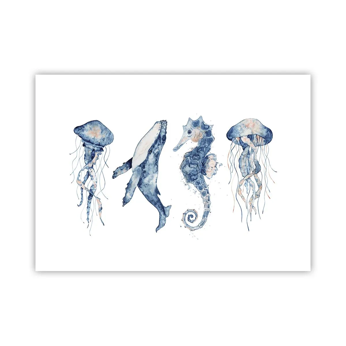 Poster - Meraviglie del mare - 70x50 cm