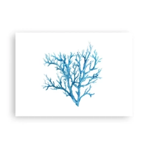 Poster - Filigrana marina - 70x50 cm