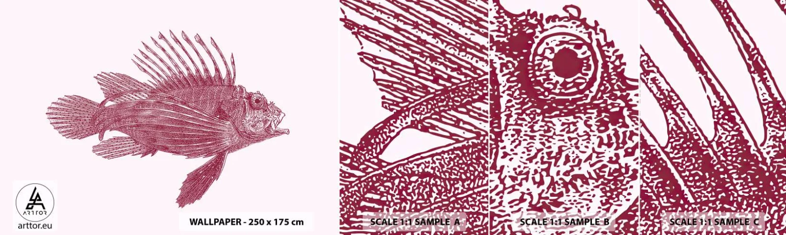 Campione Di Fotomurale Standard Eco - Abitante di mari esotici - Pescare, Pesce leone, Tropicale - 100x30 cm