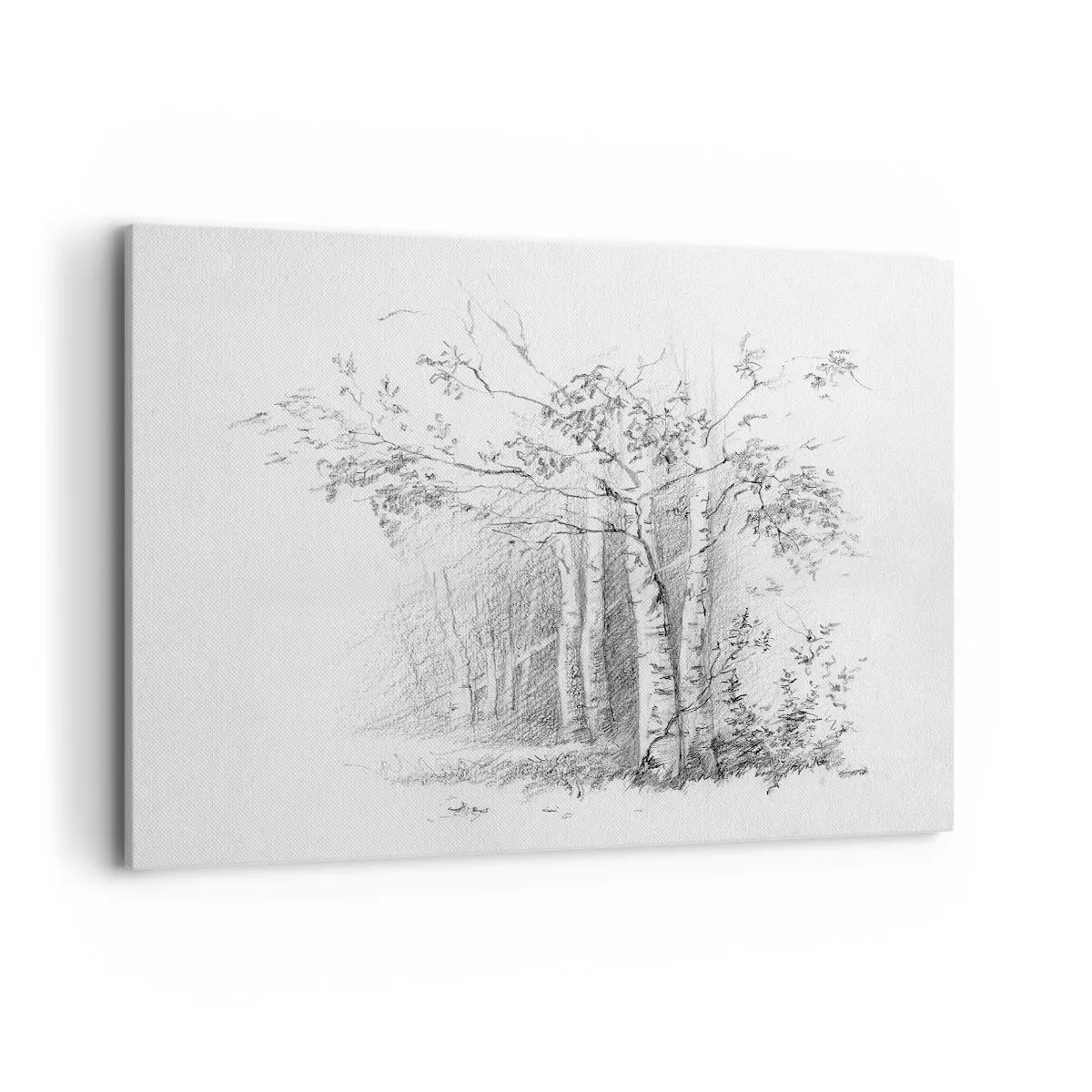 Quadro su tela - Stampe su Tela - Un disegno di una foresta di betulle in un sottile schizzo a matita - 120x80cm - La luce della foresta di betulle - Decorazione murale moderna per soggiorno e camera da letto ARTTOR