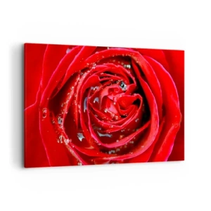Quadro su tela - Stampe su Tela - Primo piano di una rosa rossa con gocce d'acqua sui petali - 120x80cm - Nelle gocce della rugiada - Decorazione murale moderna per soggiorno e camera da letto ARTTOR