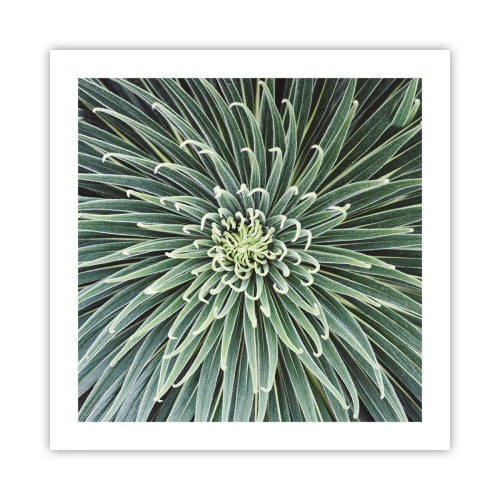 Poster - La nascita delle stelle - 50x50 cm