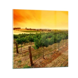 Quadro su vetro - Ubriacarsi di sole - 70x70 cm