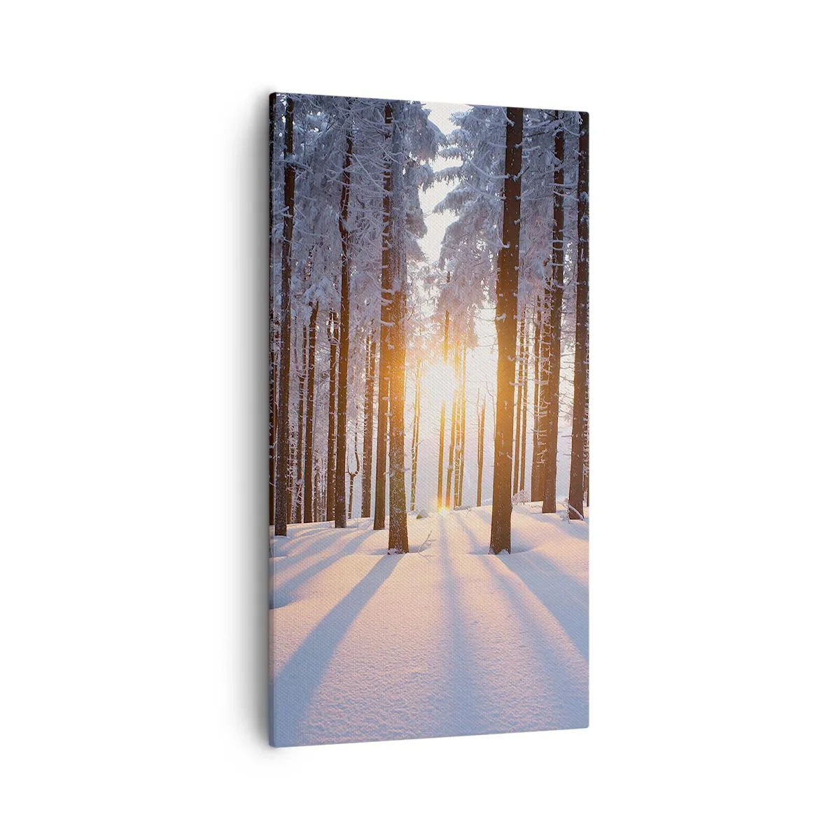 Quadro su tela - Stampe su Tela - Decisamente nero su bianco - 55x100 cm