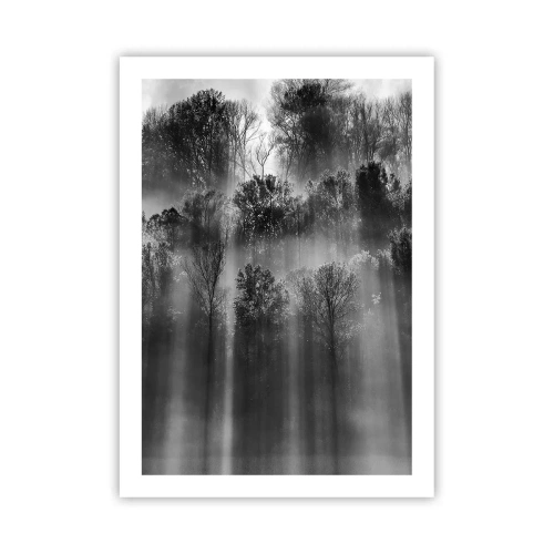 Poster - Foresta in bianco e nero nella nebbia con raggi di sole - 50x70cm - Nei getti di luce - Decorazione murale moderna per soggiorno e camera da letto ARTTOR