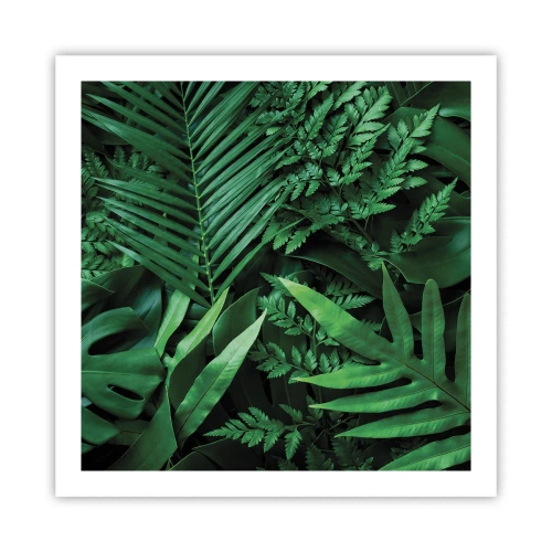 Poster - Avvolti nel verde - 60x60 cm