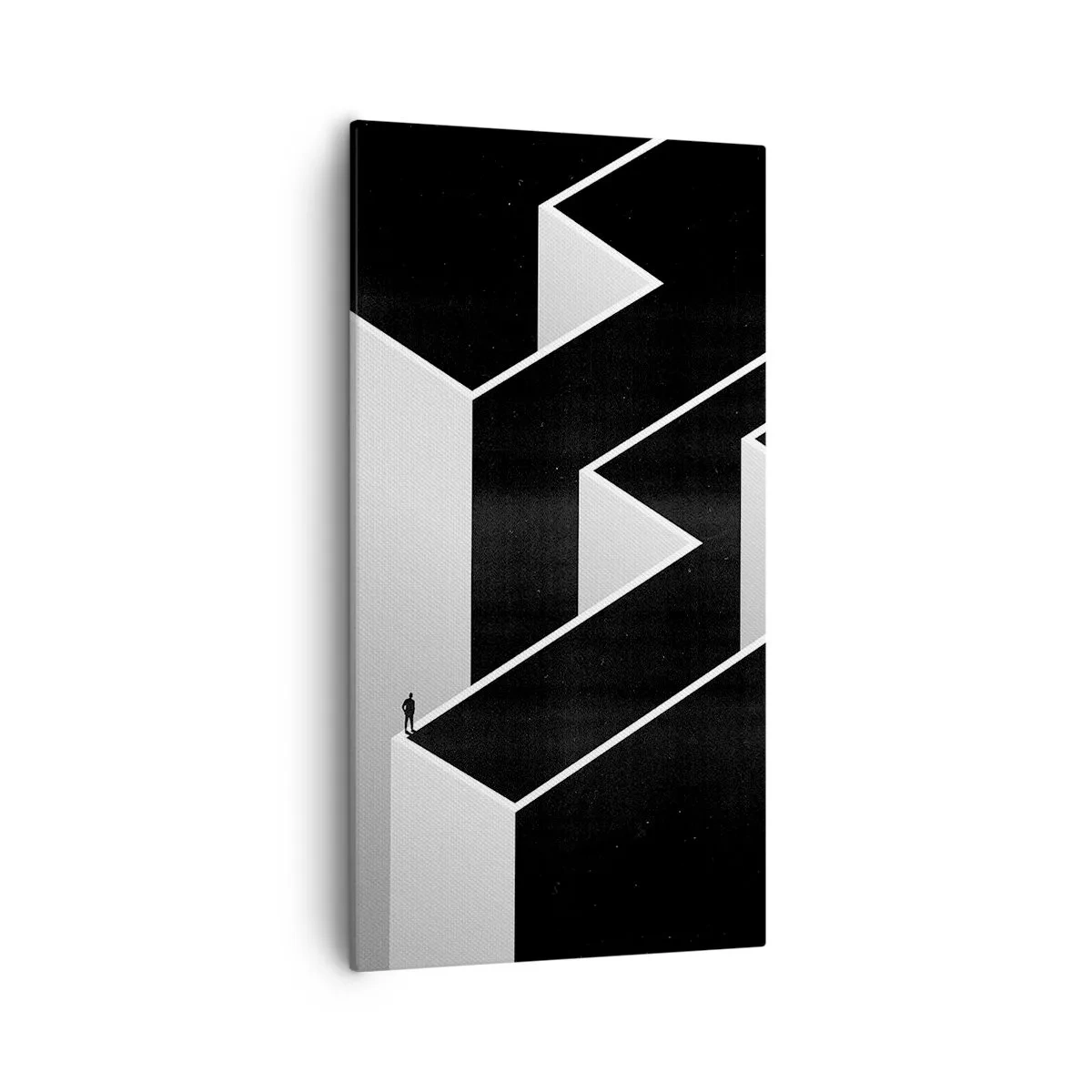 Quadro su tela - Stampe su Tela - Solitudine al vertice - 55x100 cm