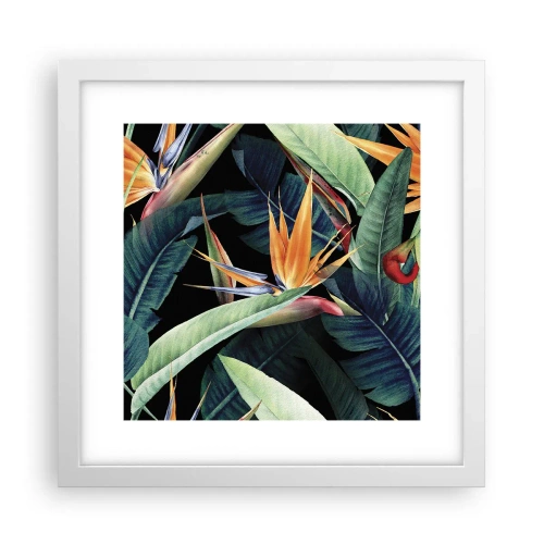 Poster in cornice bianca - I fiori fiammeggianti dei tropici - 30x30 cm