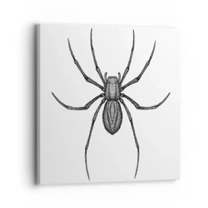 Quadro su tela - Stampe su Tela - Precisione inquietante - 30x30 cm