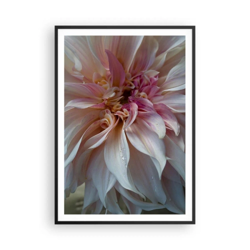 Poster in cornice nera - Freschezza in fiore - 70x100 cm