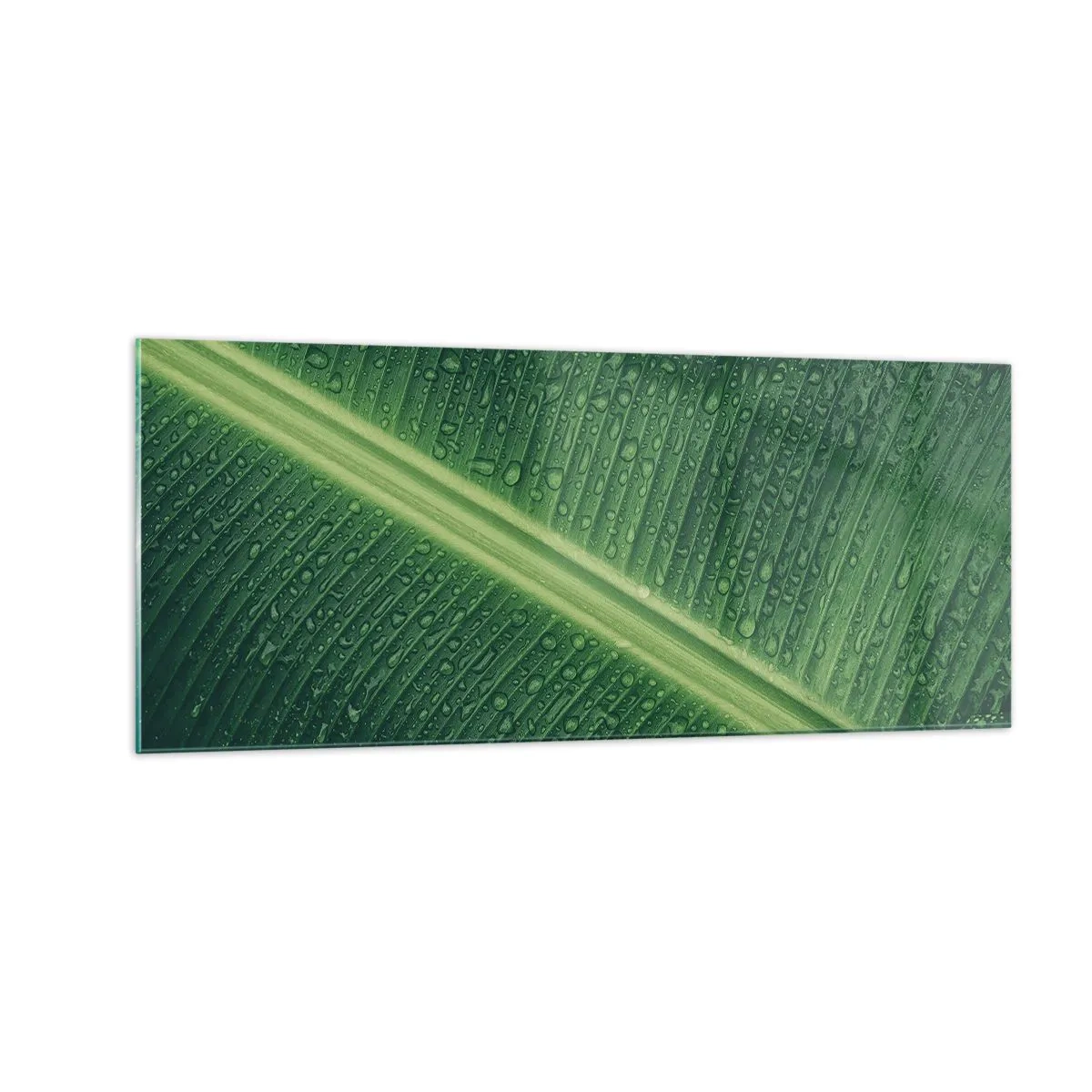 Quadro su vetro - La struttura del verde - 100x40 cm