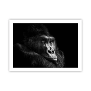 Poster - E cosa guardi? - 70x50 cm