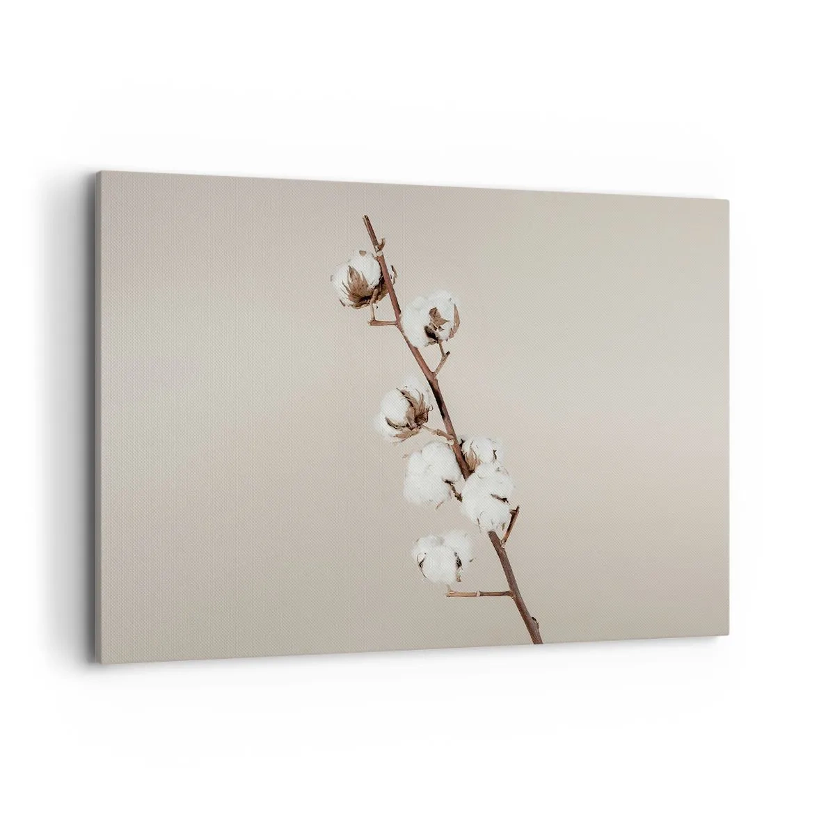 Quadro su tela - Stampe su Tela - Un rametto di cotone su uno sfondo beige - 120x80cm - Alla fonte della morbidezza - Decorazione murale moderna per soggiorno e camera da letto ARTTOR