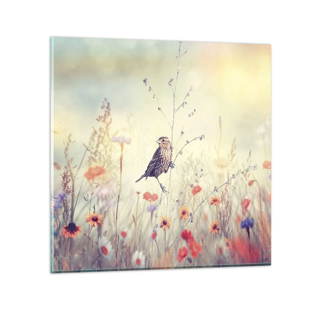 Quadro su vetro - Ritratto d'uccello con prato di sfondo - 60x60 cm