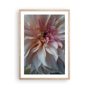 Poster in cornice rovere chiaro - Freschezza in fiore - 50x70 cm