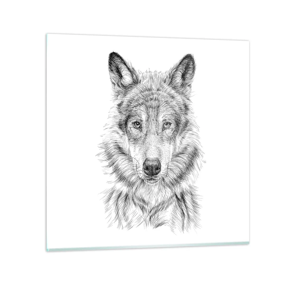 Quadro su vetro - Condottiero nato - 70x70 cm