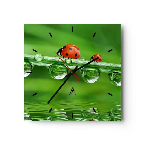 Orologio da parete - Orologio in Vetro - Coccinelle su un filo d'erba con gocce di rugiada in un ambiente naturale - 30x30cm - In cammino per tutta l'estate - Decorazione murale moderna per soggiorno e camera da letto ARTTOR