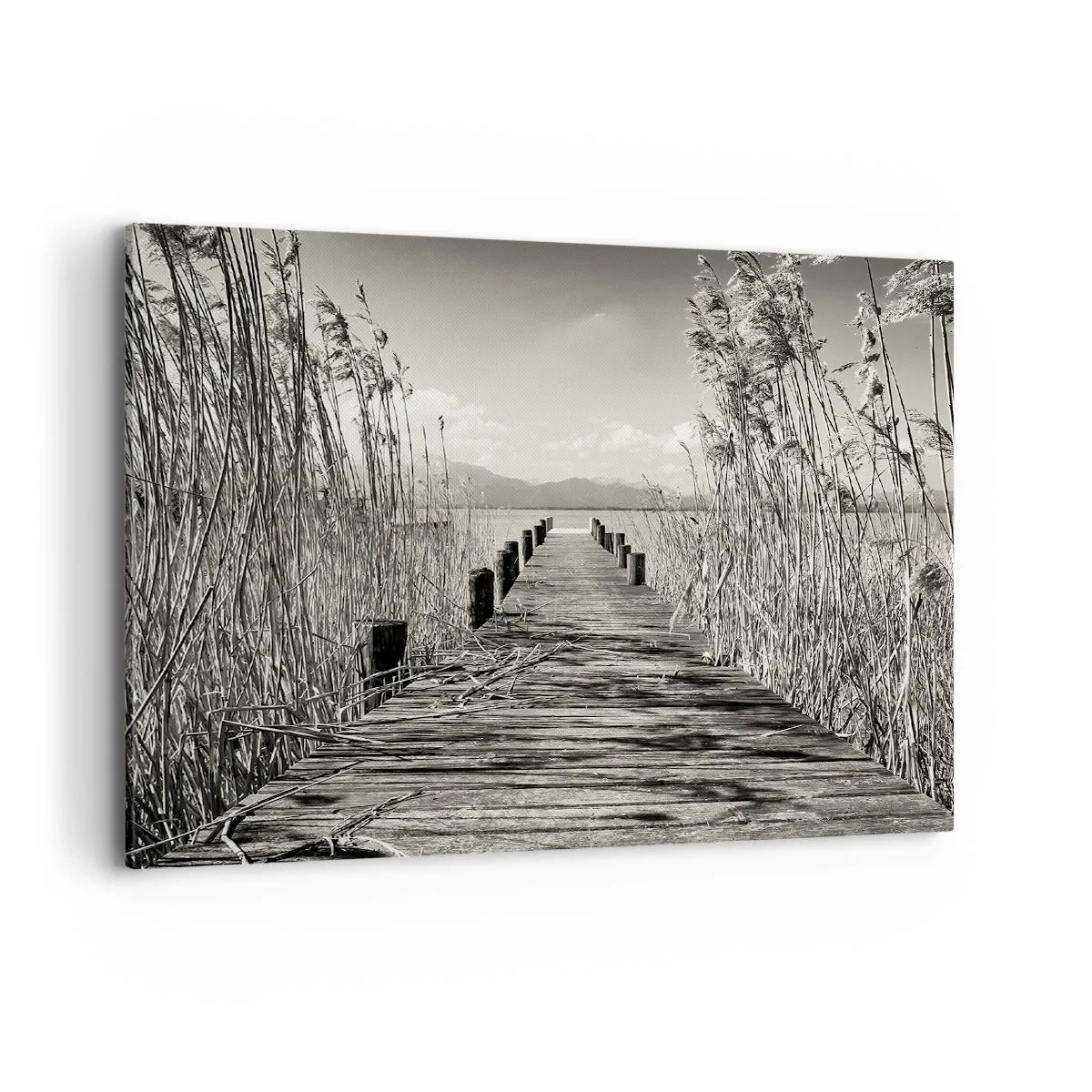 Quadro su tela - Stampe su Tela - Un molo di legno tra l'erba alta sopra un lago color seppia - 100x70cm - Nel silenzio dell'erba - Decorazione murale moderna per soggiorno e camera da letto ARTTOR