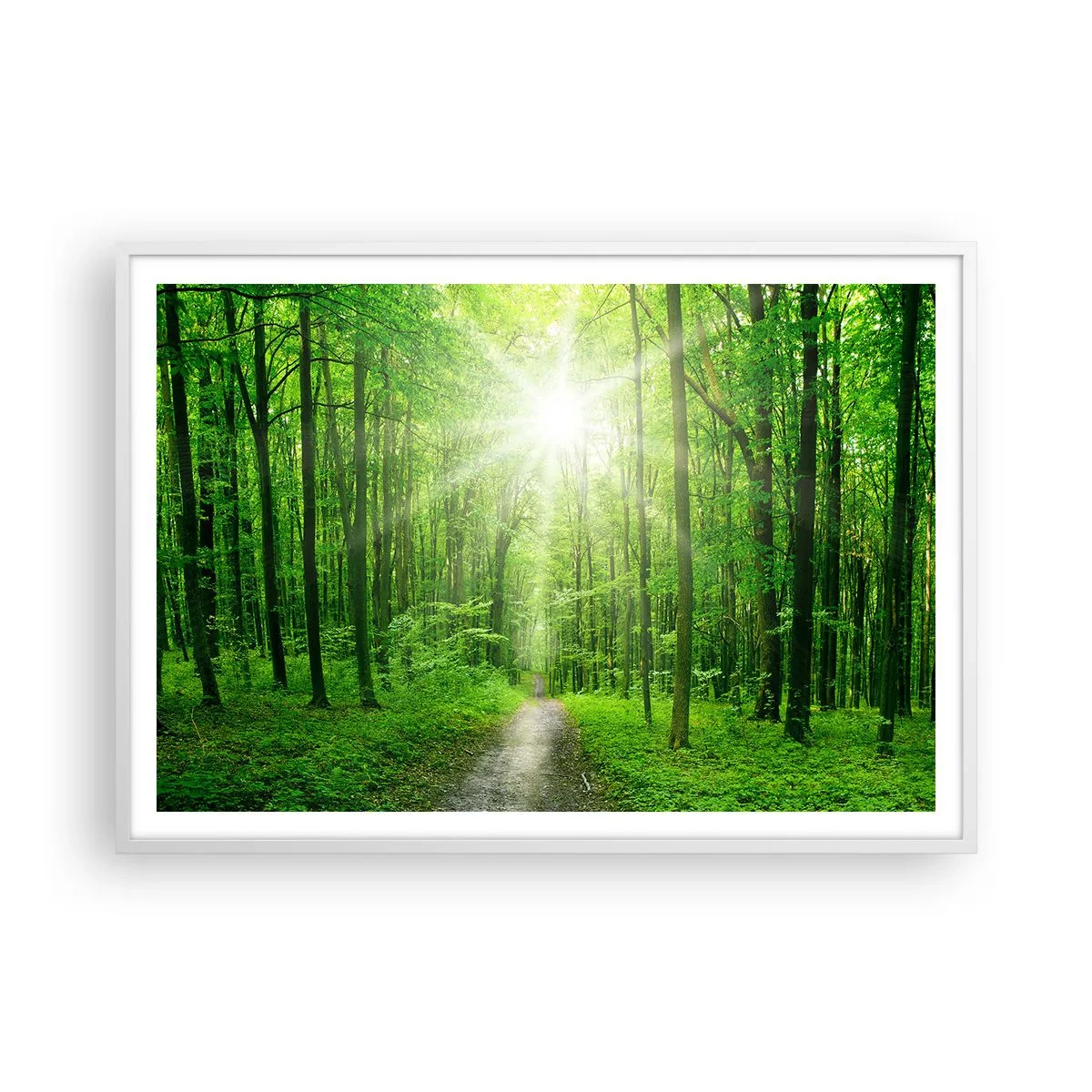 Poster in cornice bianca - Cattedrale verde - 100x70 cm